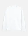 PLAIN FULL SLEEVE TSHIRTS